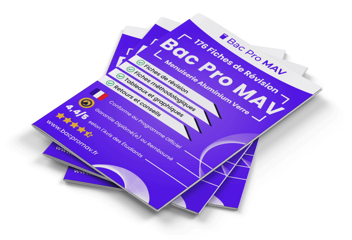176 Fiches de Révision pour le Bac Pro MAV